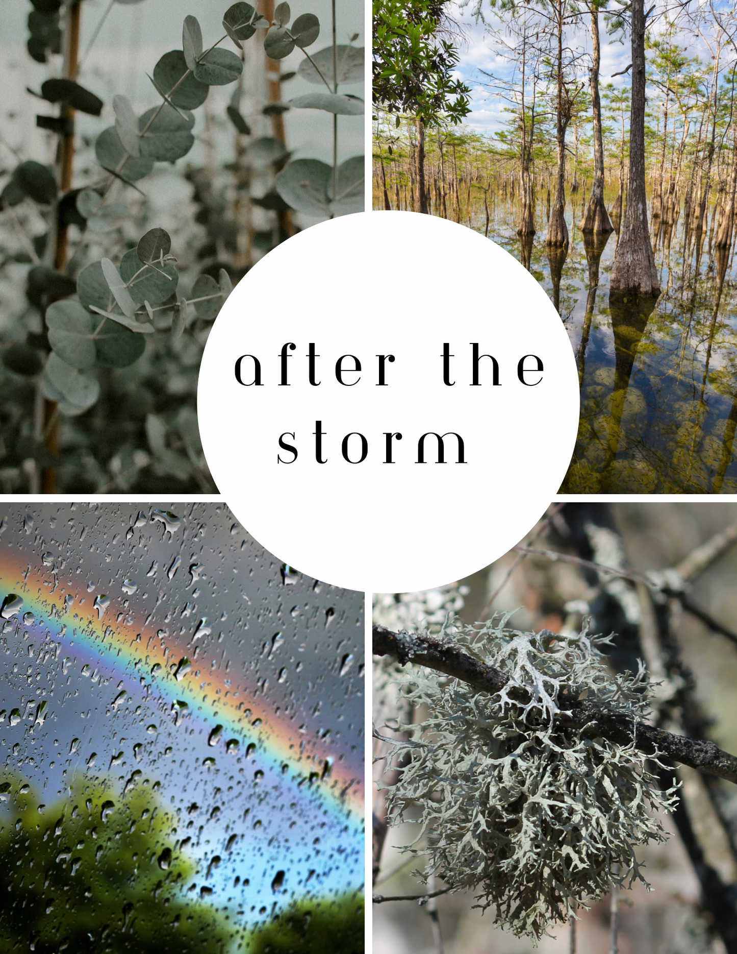 After the Storm, Product picture description