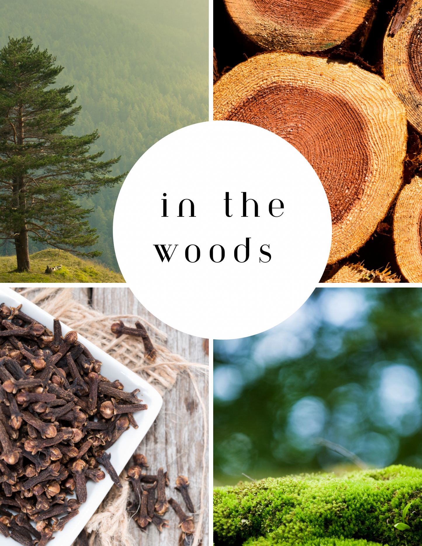 In The Forest - 100% Soy Wax Melts - 4 Ounces