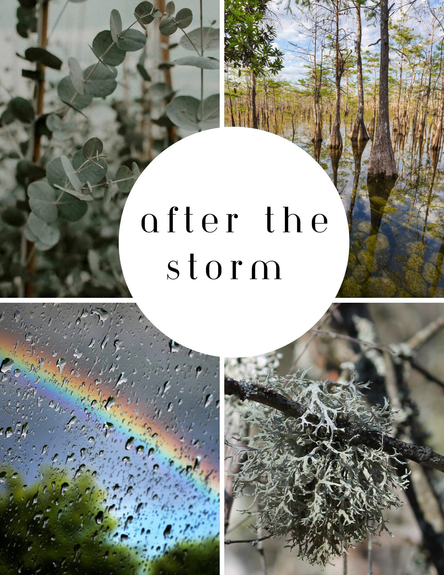After the Storm, Product picture description