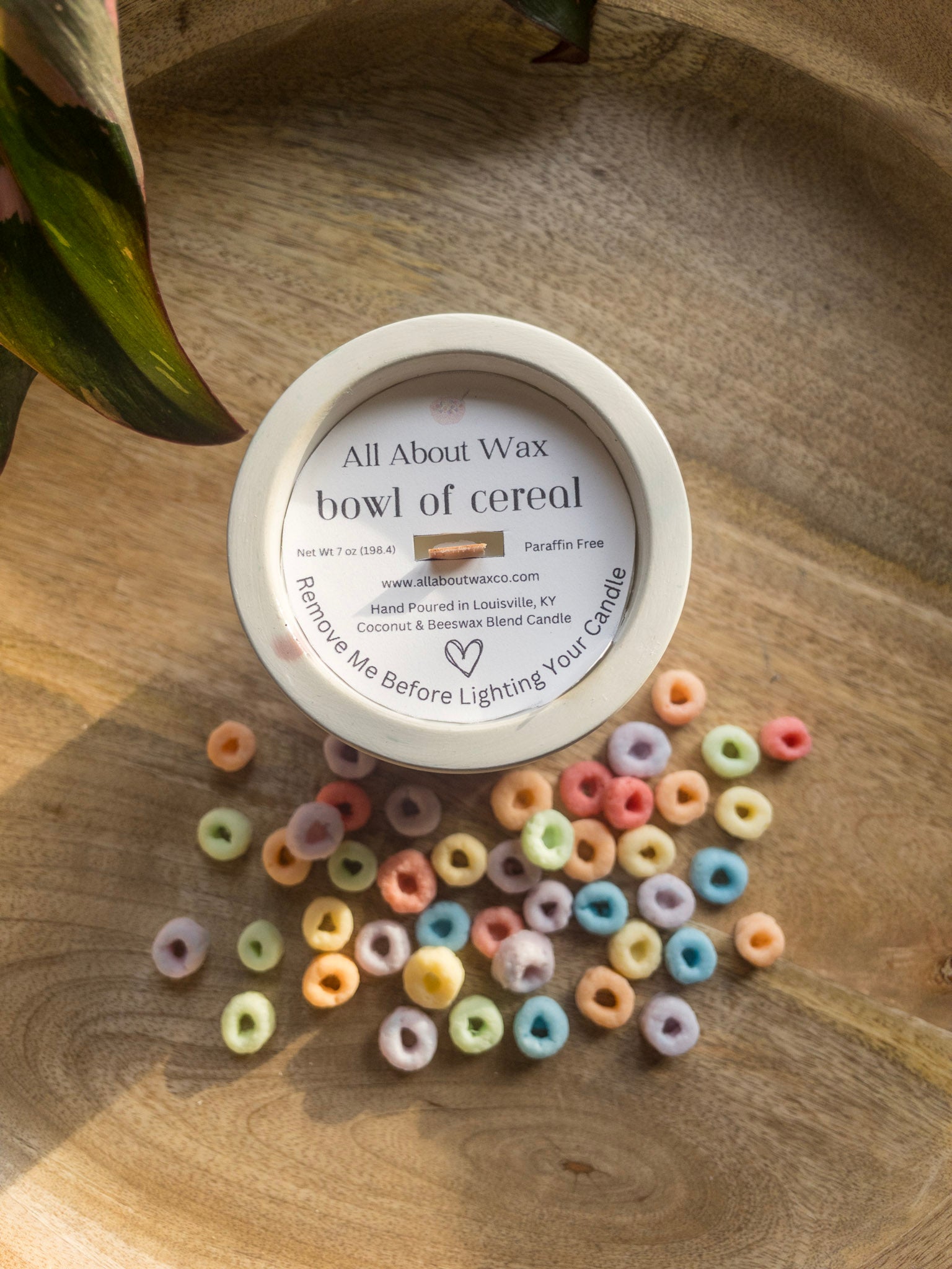 Bowl of Cereal Concrete Candle, wooden wick, white and pink, Fruit loops